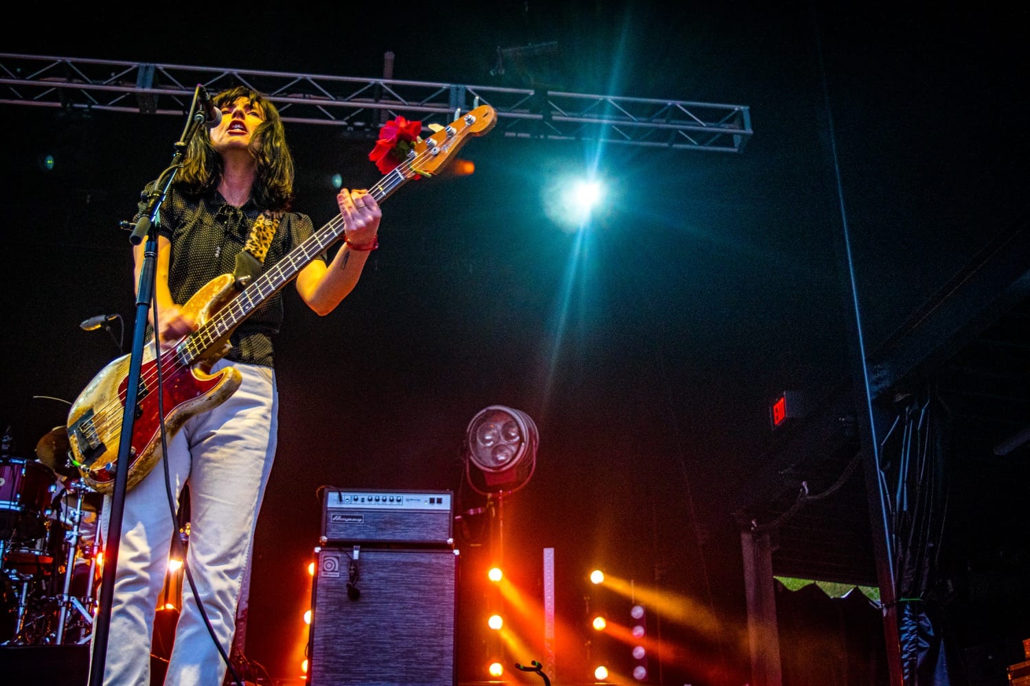 Pixies Rabbit Pixies β JONNYLEATHER | Design & Photography